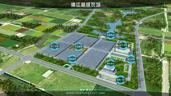浦江超级农场：科技赋能让种植更高效