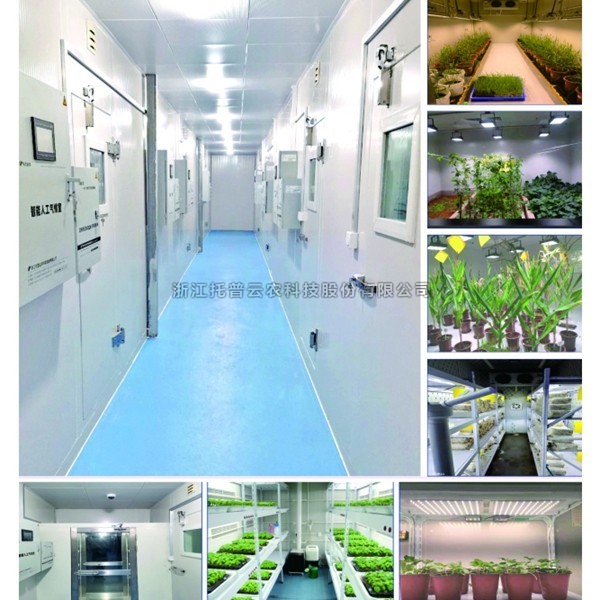一文了解植物人工气候室是什么？