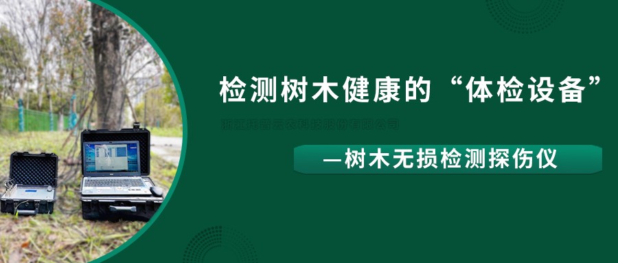 树木无损检测探伤仪精准检测树木健康状况，给出专业治疗方案