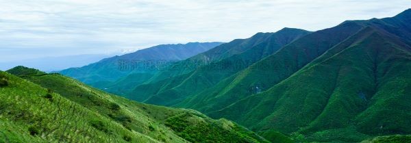 智慧护林有妙招，看太子山如何用科技守护森林