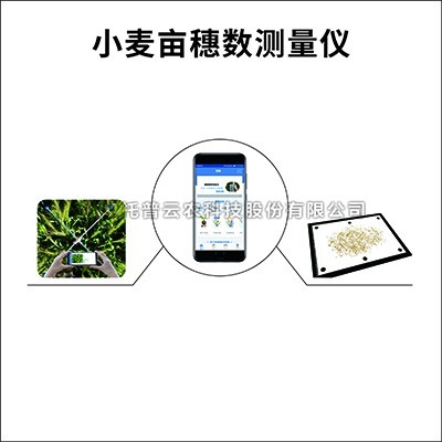 小麦亩穗数测量仪/系统：测量小麦亩穗数的育种测产仪器