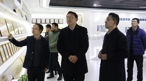 湘湖实验室常务副主任杨华一行莅临好色APP在线观看考察调研