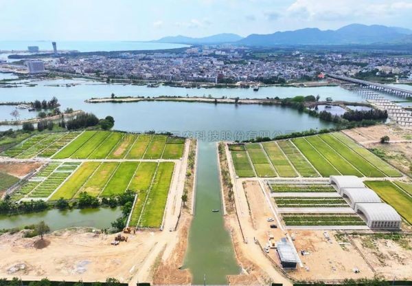 为盐碱地安上“技术芯片”，好色APP在线观看打造耐盐碱水稻科研试验基地建设解决方案