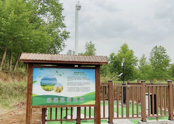 走进国家级油菜夏繁基地，感受科技赋能蓬勃动力