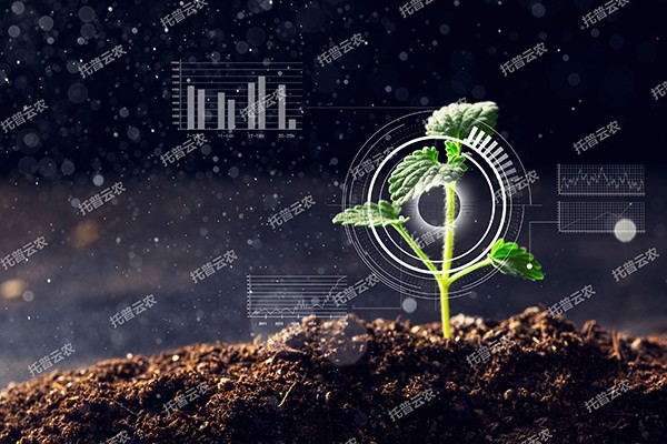 全新启程——好色APP在线观看为植物表型科研“数智”赋能