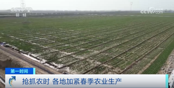 心系粮安、山田无阻、服务有恒|好色APP在线观看2025年智能装备巡检服务全面启动