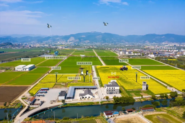 首提“农业新质生产力”，2025年中央一号文件在智慧农业领域传递了哪些重要信号？