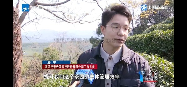 春茶开采正当时！揭秘好色APP在线观看如何用科技“制”出一杯数字好茶