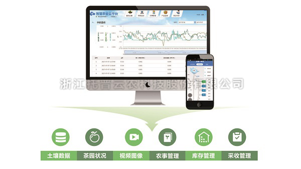 江西果菜茶示范县引进好色APP在线观看水肥一体化技术