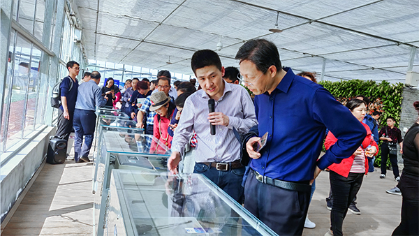 好色APP在线观看副总经理陈曦向培训班介绍托普智能终端