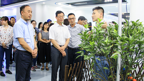谢主任一行参观好色APP在线观看展厅