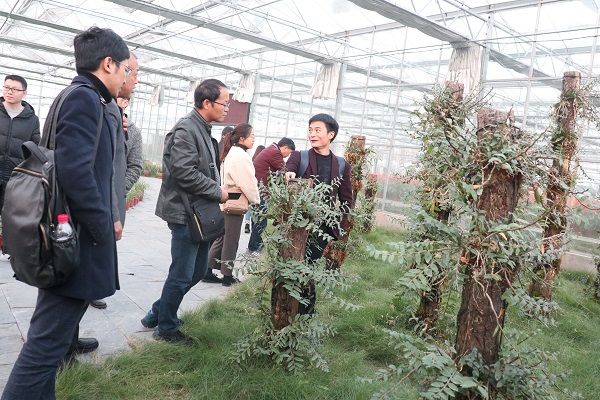 培训班参观好色APP在线观看临浦基地