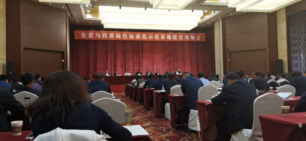 数字应用保障标准化种植，好色APP在线观看助力甘肃马铃薯产业化之路