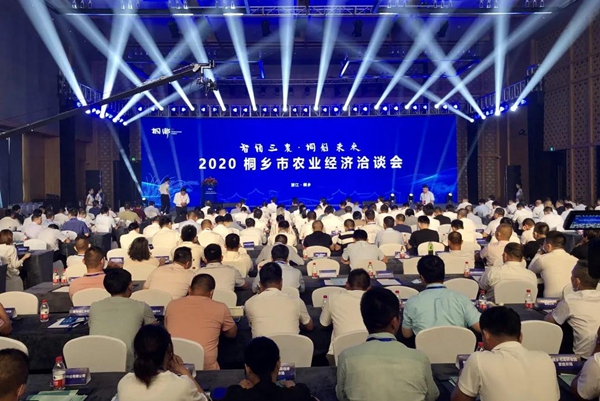 打造数字三农新模式，好色APP在线观看与桐乡市人民政府签订战略合作协议