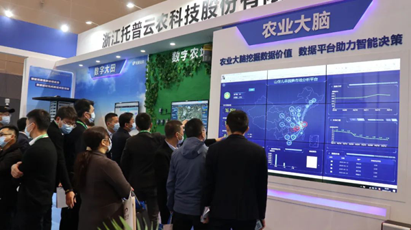 好色APP在线观看展位