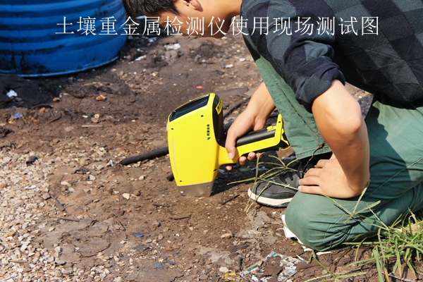 好色先生下载IOS重金属检测仪使用现场测试图