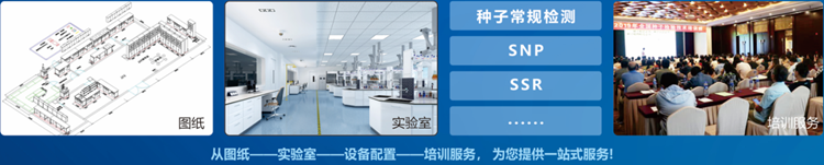 一站式好色先生下载苹果手机安装网页版检验