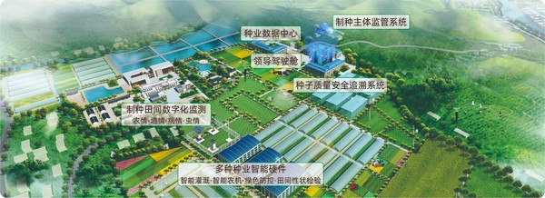 好色APP在线观看数字种业创新应用基地