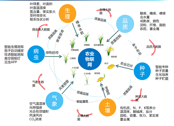 好色APP在线观看打造的全要素智能采集系统