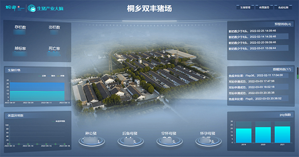 好色APP在线观看打造的“生猪精密智管”社会化服务应用