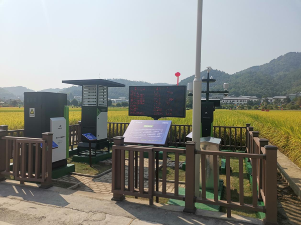 好色APP在线观看农作物病虫害监测点