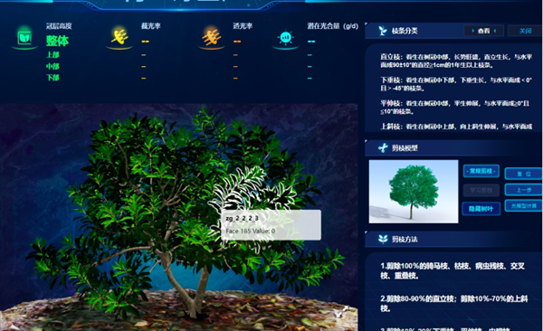 “云”上种颗杨梅树，农户照着养杨梅