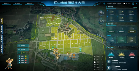 图片8_副本.png