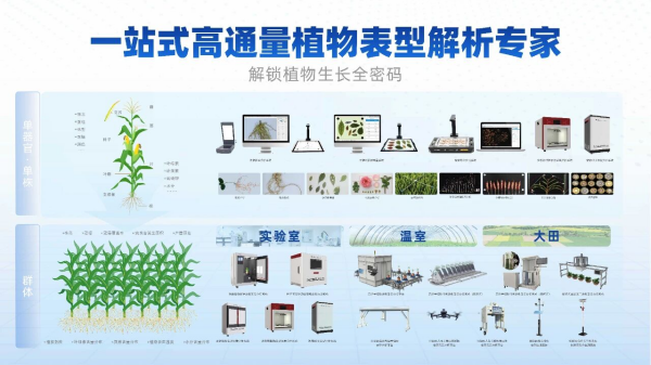 图片06_副本.png
