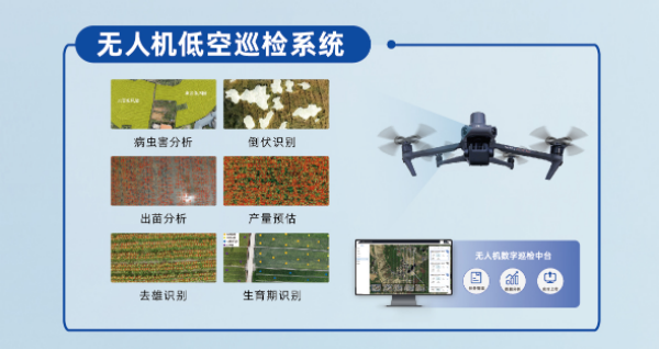 图片四_副本.png